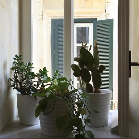 Apartment Dedalo Tempio Di Apollo *
